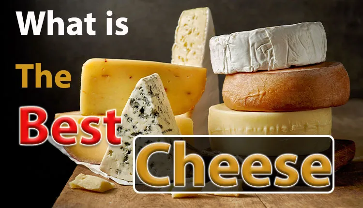 بهترین پنیر عکس اصلی