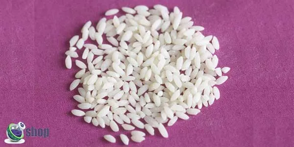 بهترین برنج ایرانی بنگال