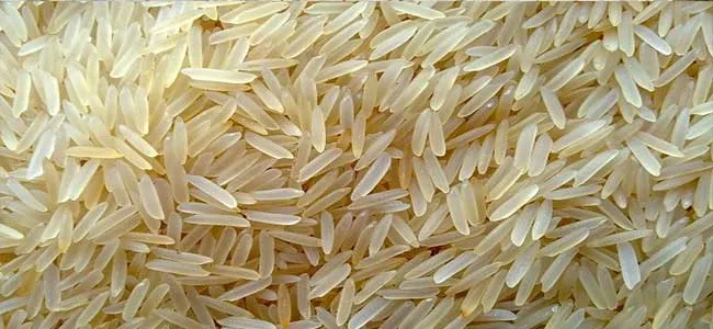 بهترین برنج ایرانی هیبریدی